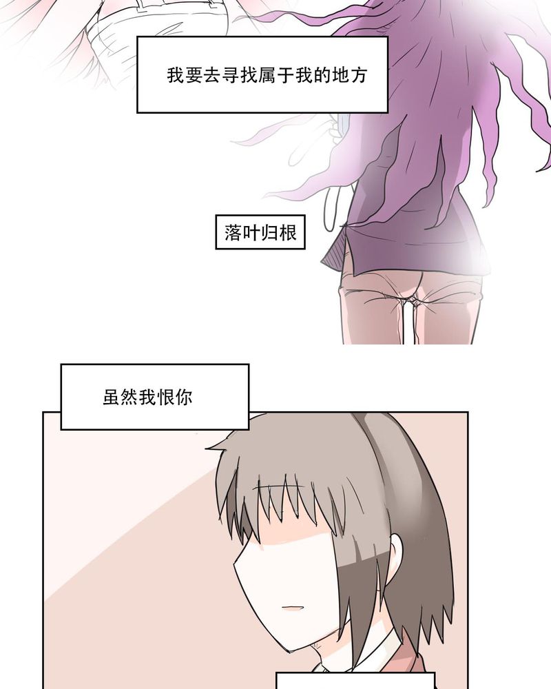 第40章：大结局12