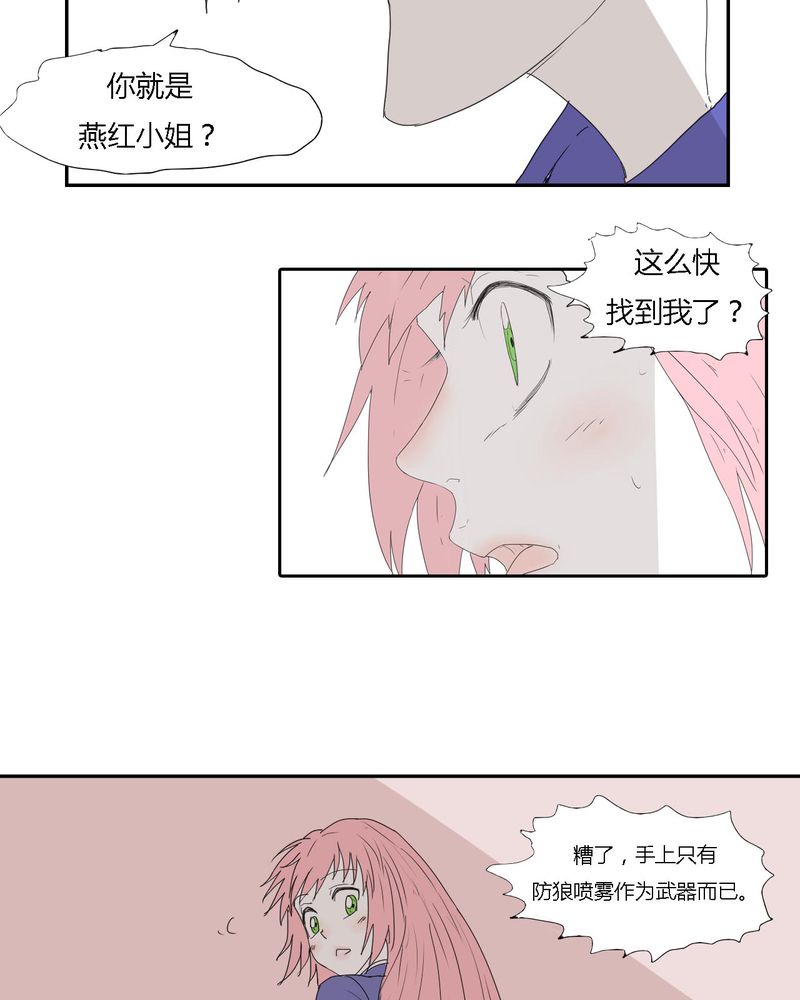第29章：最后的挣扎4