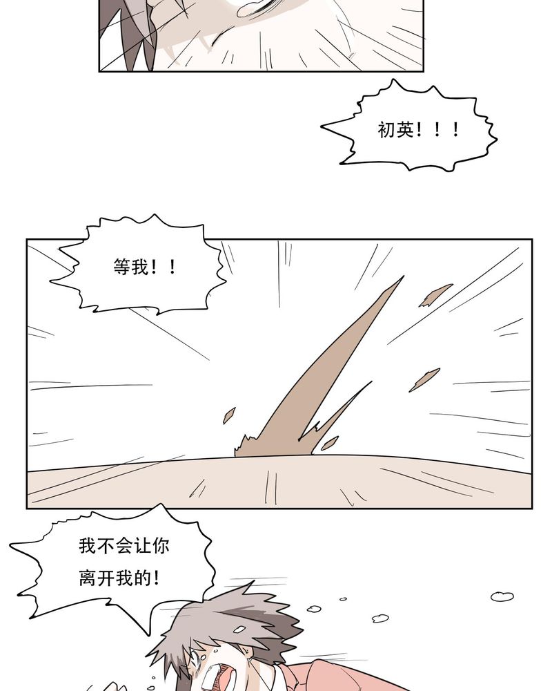 第40章：大结局14