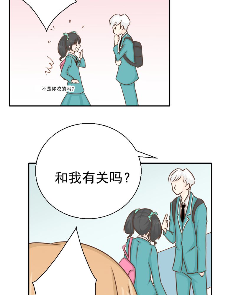 第29章：兄弟10