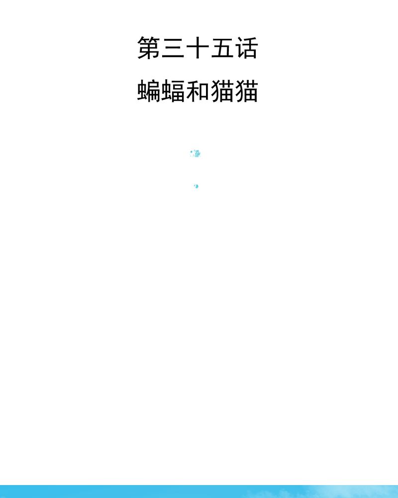 第35章：蝙蝠和猫猫2