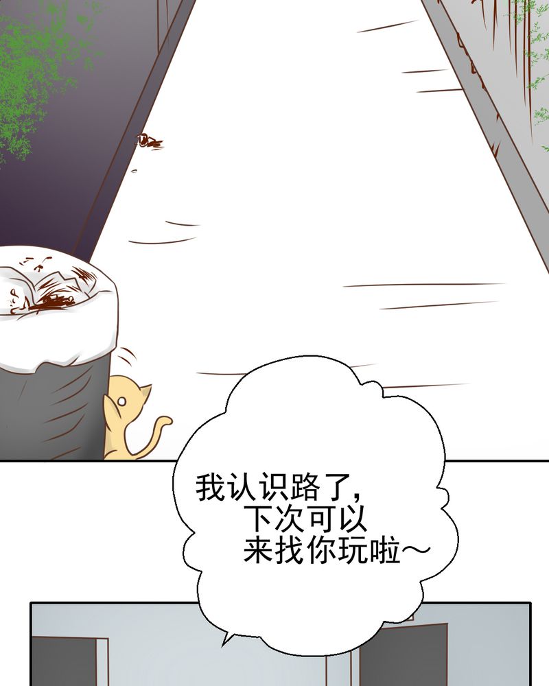 第26章：或许命运，可以改变吧12