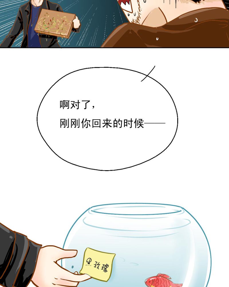 第3章：代号：向阳花15