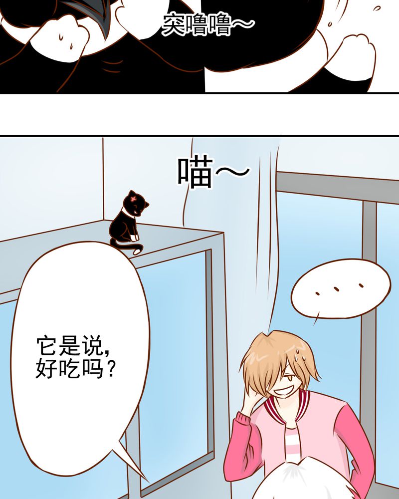 第34章：文浩的生日19