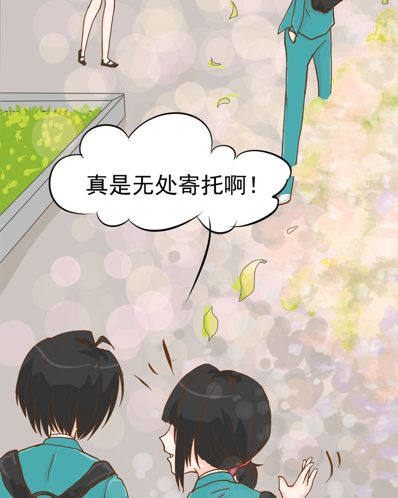 第6章：阳光下的校园19