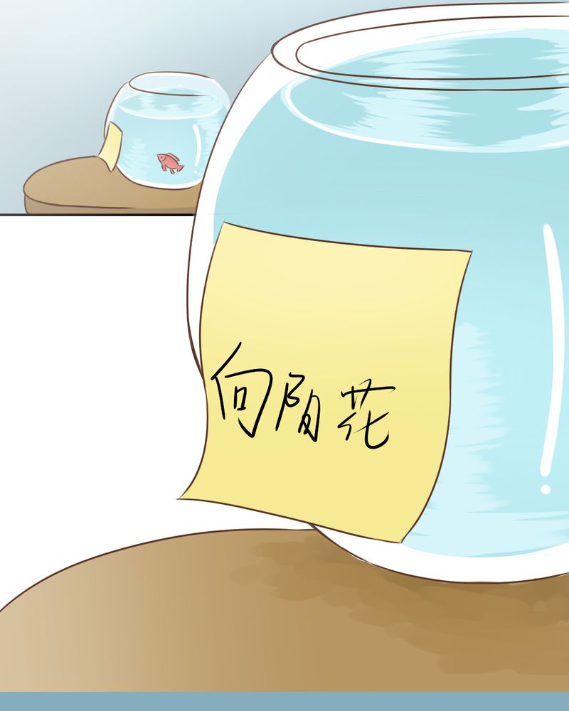 第26章：或许命运，可以改变吧24