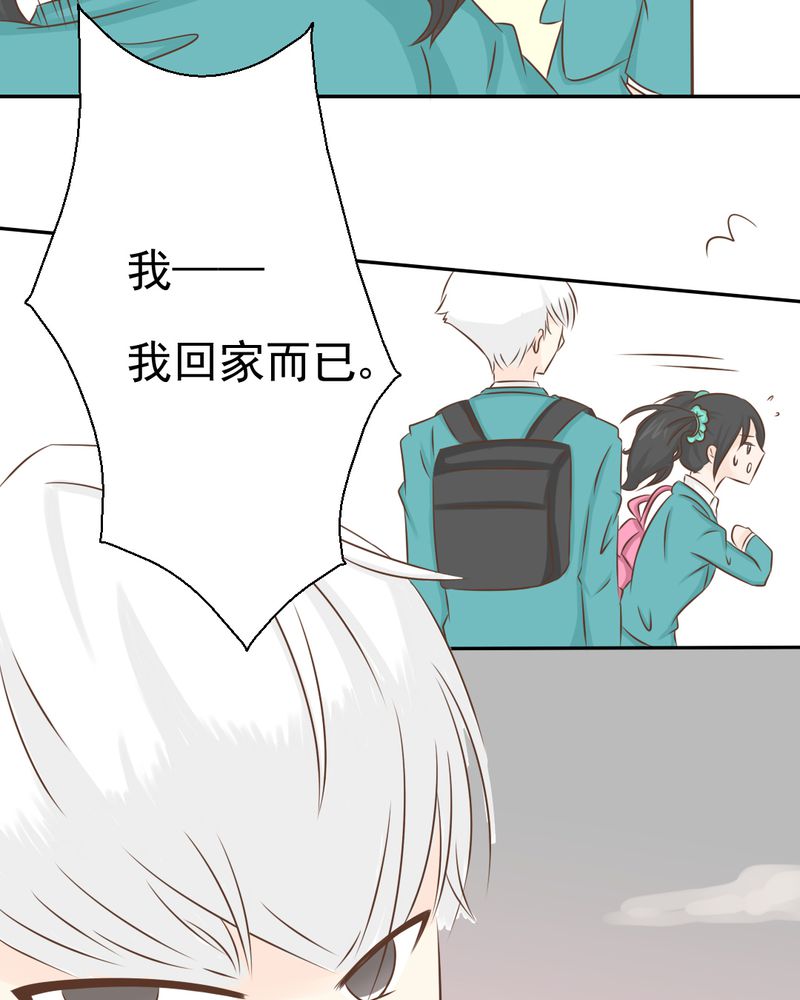 第33章：你喜欢我吗14