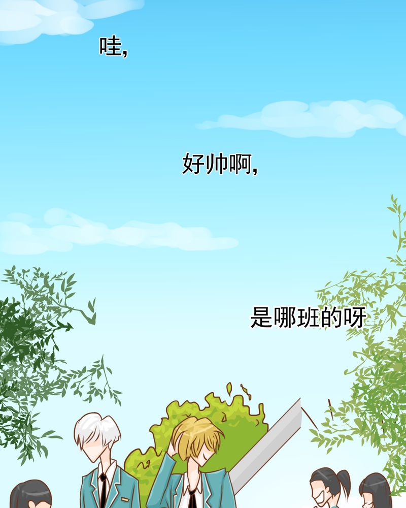第15章：不弃权不行吗18