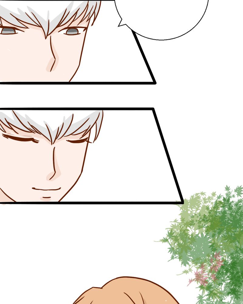 第35章：蝙蝠和猫猫8