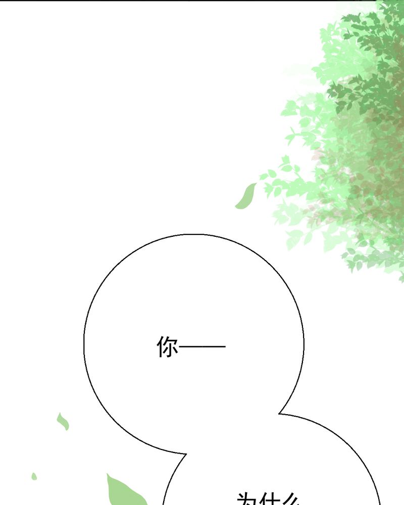 第29章：兄弟31
