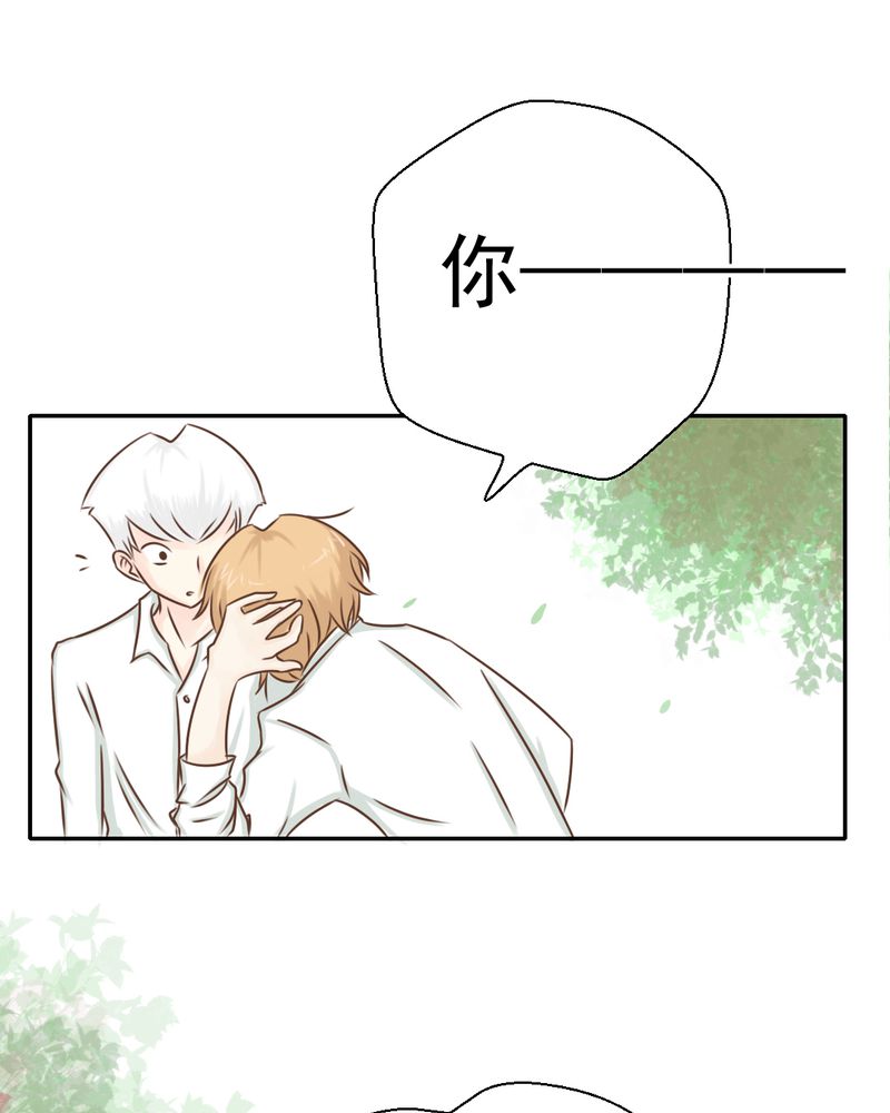 第29章：兄弟40