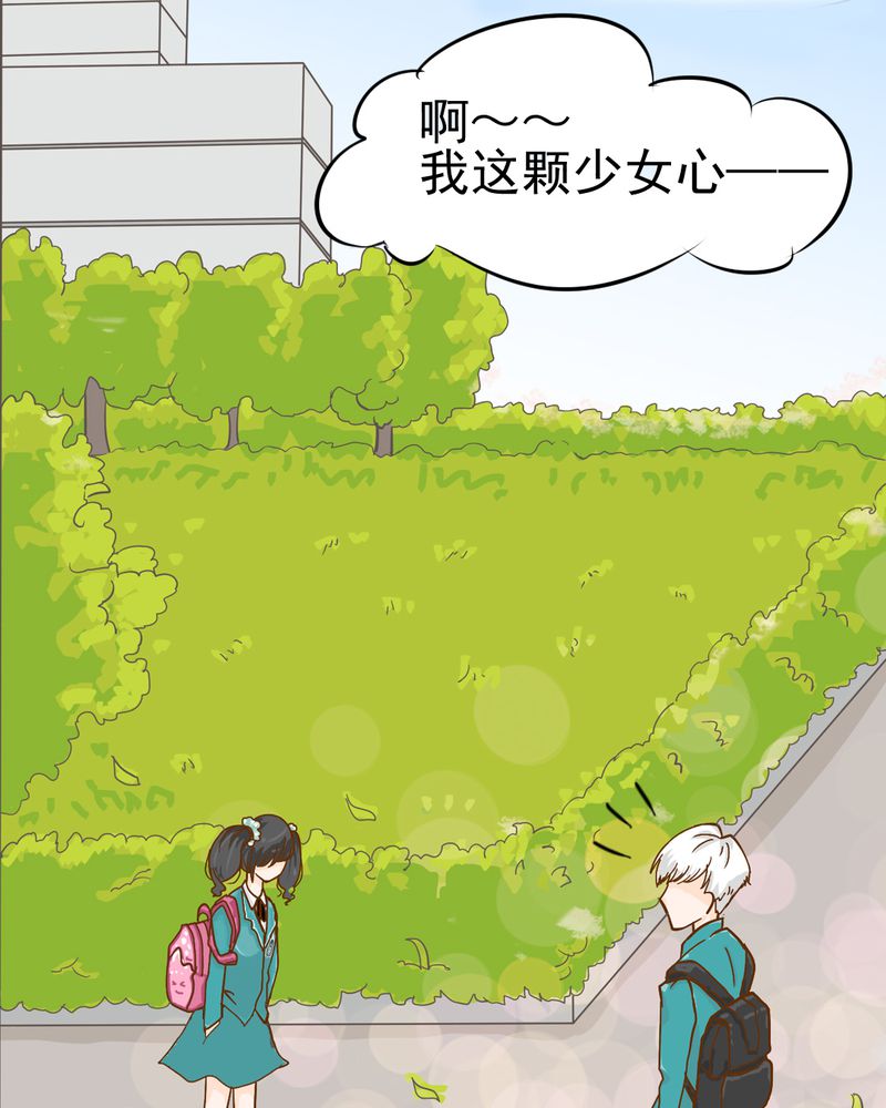第6章：阳光下的校园18