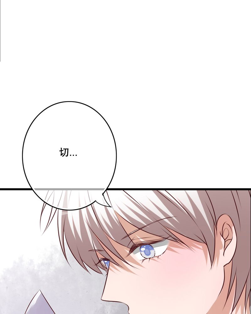 第66章：公主竟然是他！23