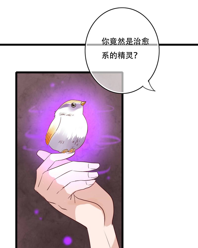 第87章：治愈系精灵29