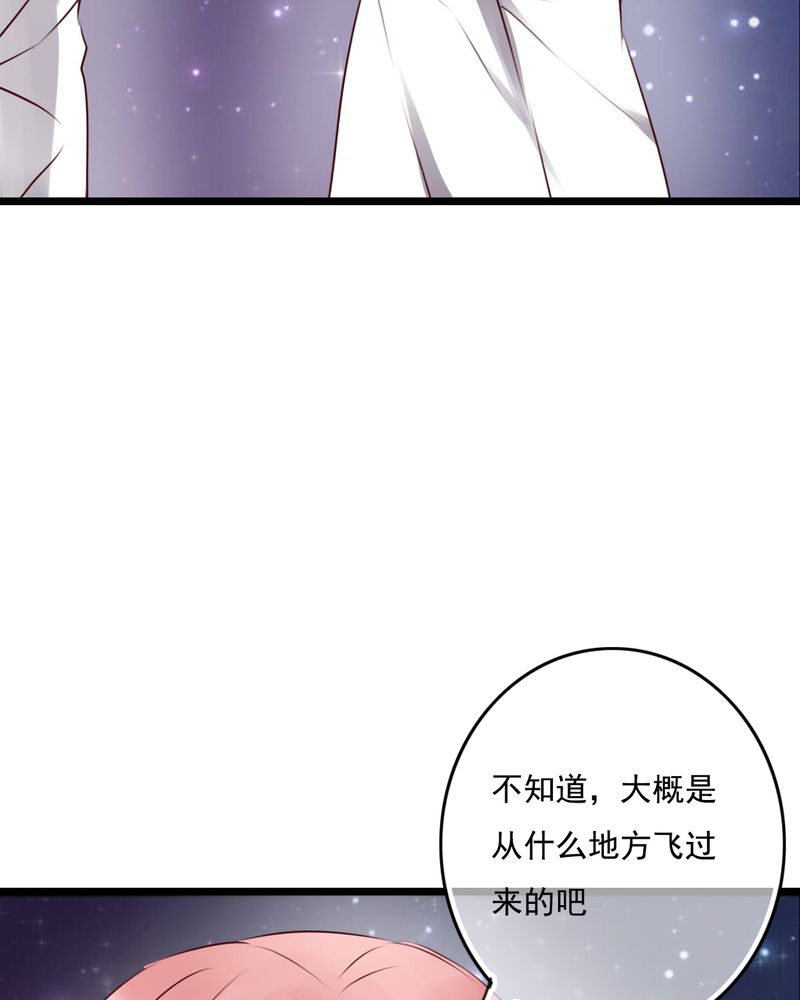 第74章：误会14