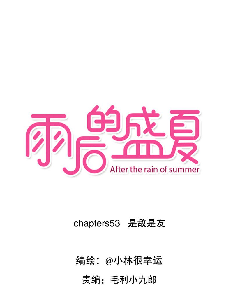 第53章：是敌是友0