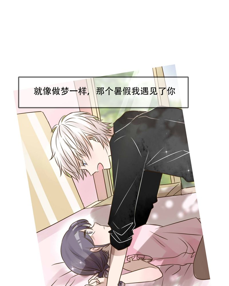 第95章：他们的婚礼17