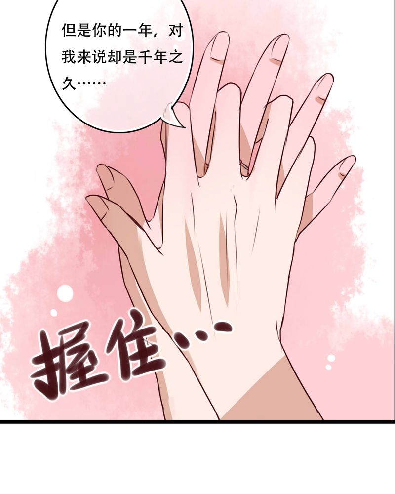 第95章：他们的婚礼23