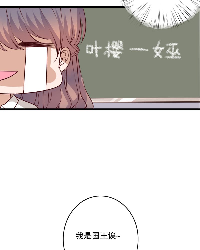 第66章：公主竟然是他！29
