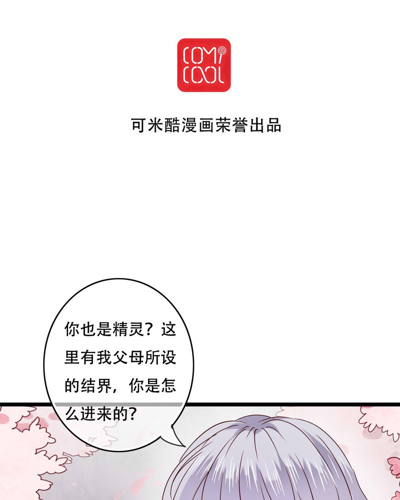 第87章：治愈系精灵1