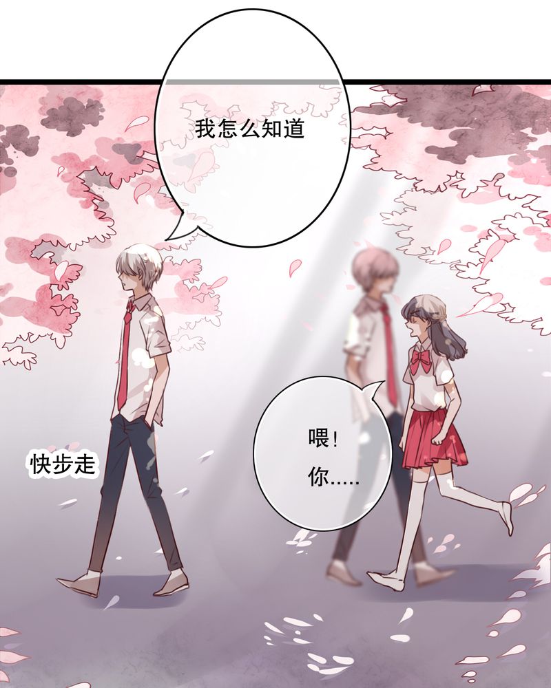 第60章：擦肩而过23