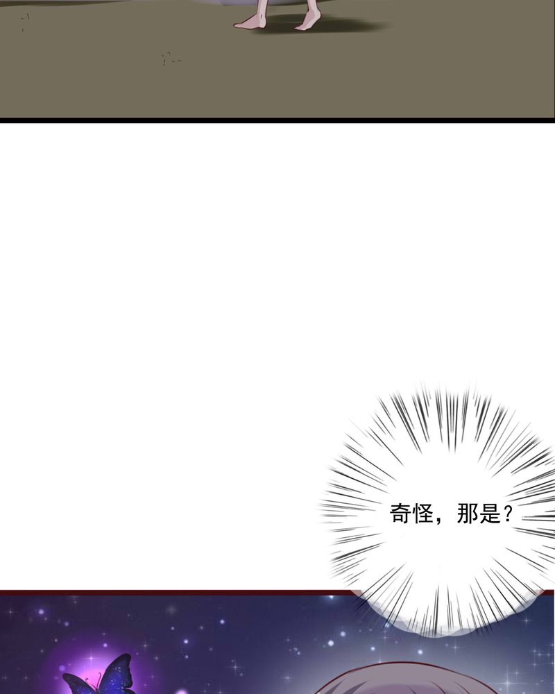 第73章：接触33