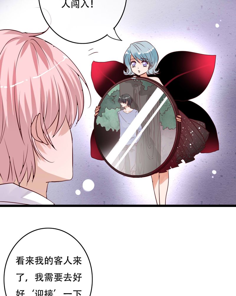 第87章：治愈系精灵14