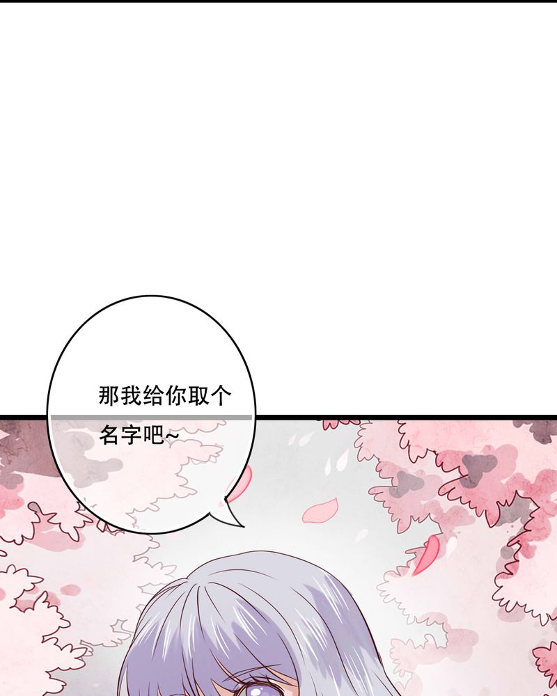 第87章：治愈系精灵9