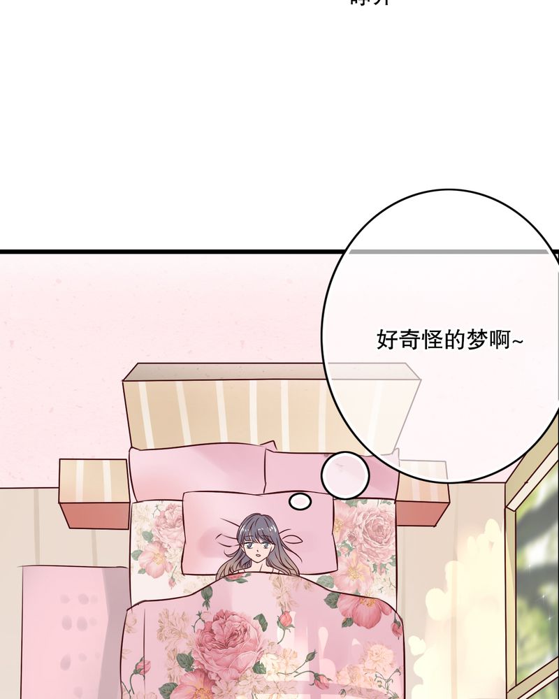 第28章：梦境16