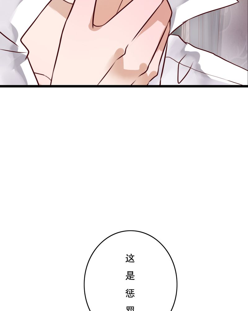 第40章：这是惩罚31