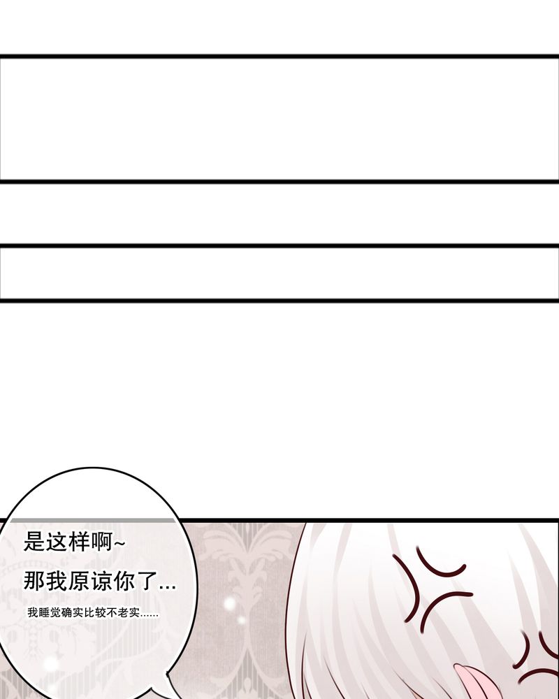 第23章：解释29