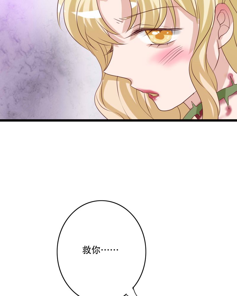 第82章：危险来临32