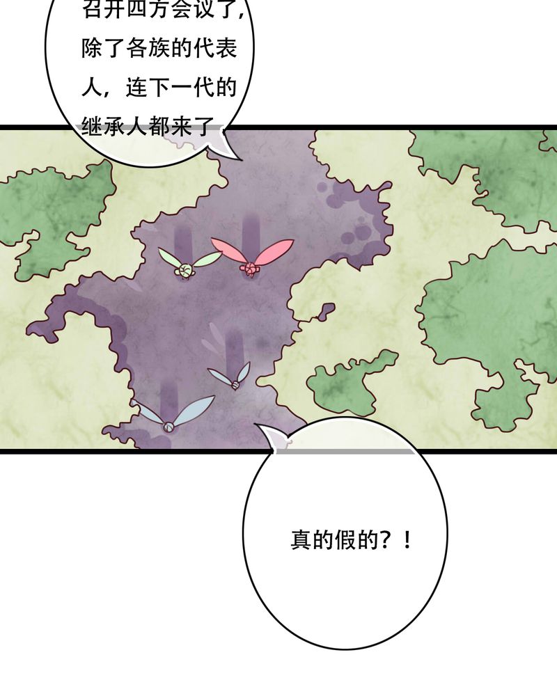 第79章：初次相遇5