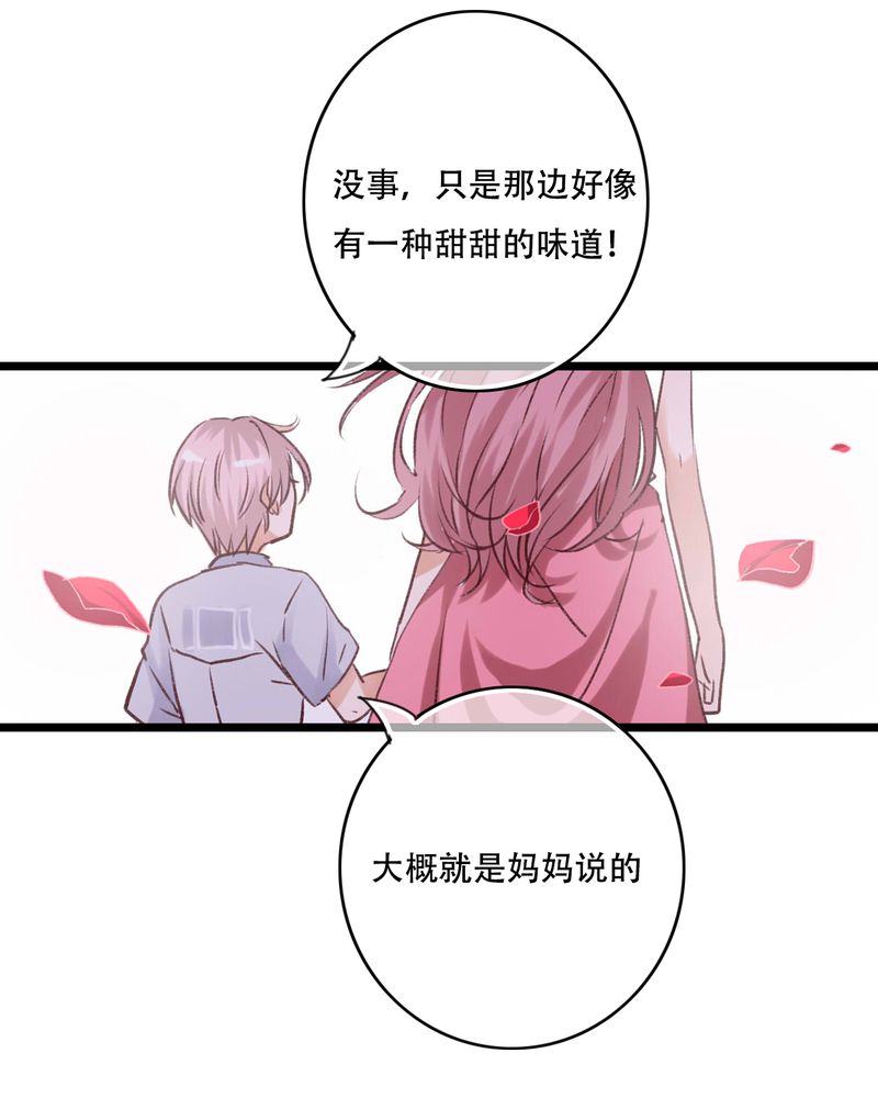 第95章：他们的婚礼42
