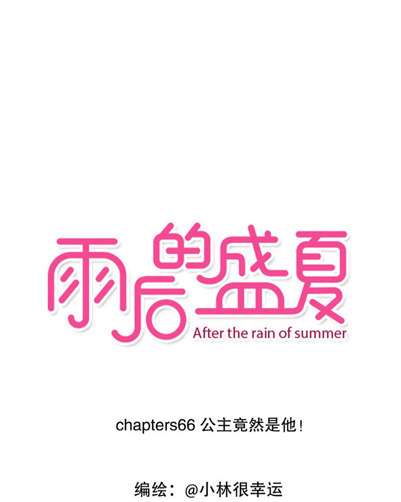 第66章：公主竟然是他！0