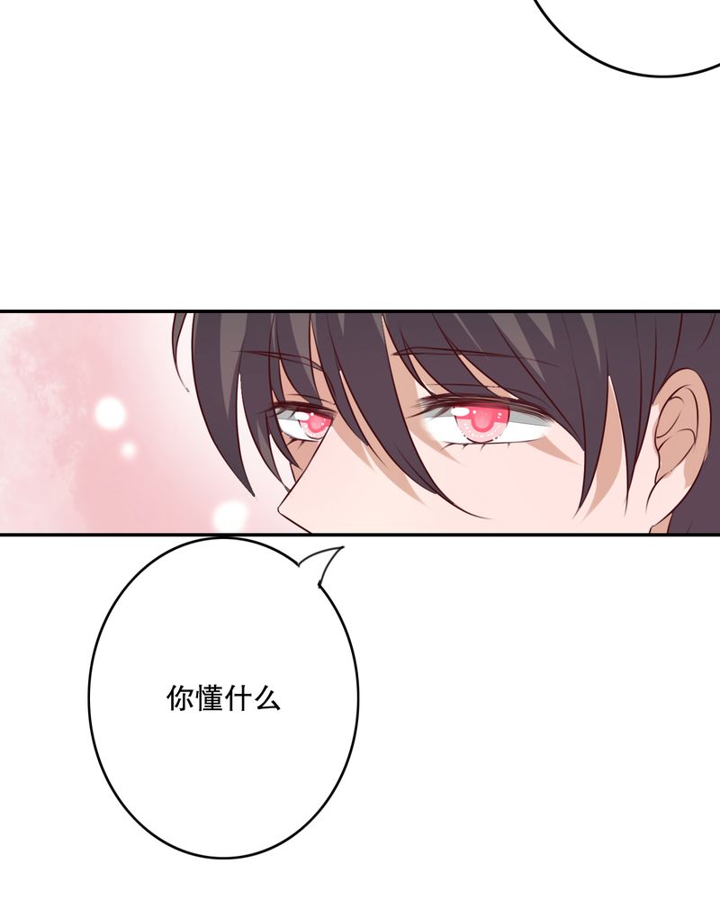 第47章：我爱的人14