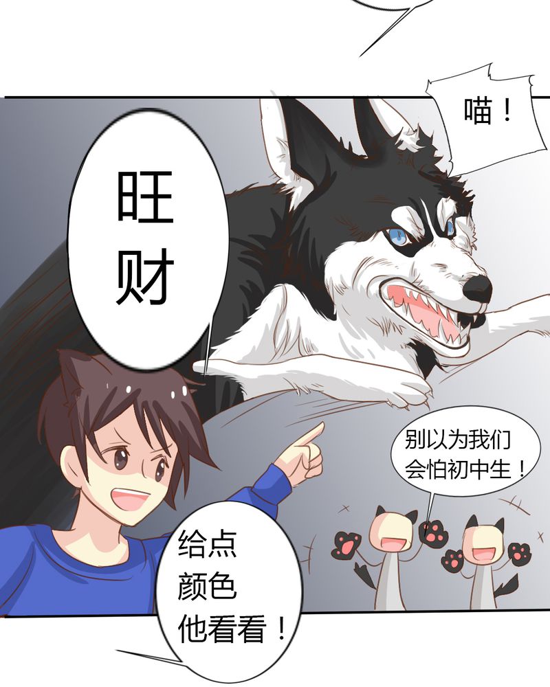 第2章：茉莉的回忆15