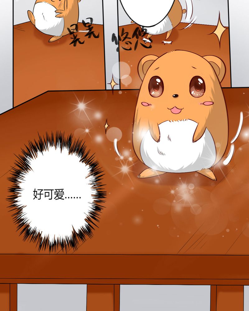 第8章：我竟然输给一只仓鼠23