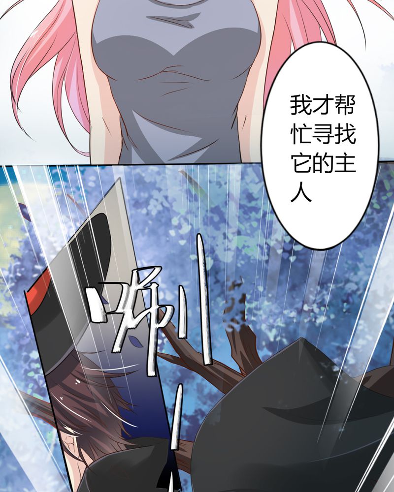 第7章：突然多了个便宜师父5