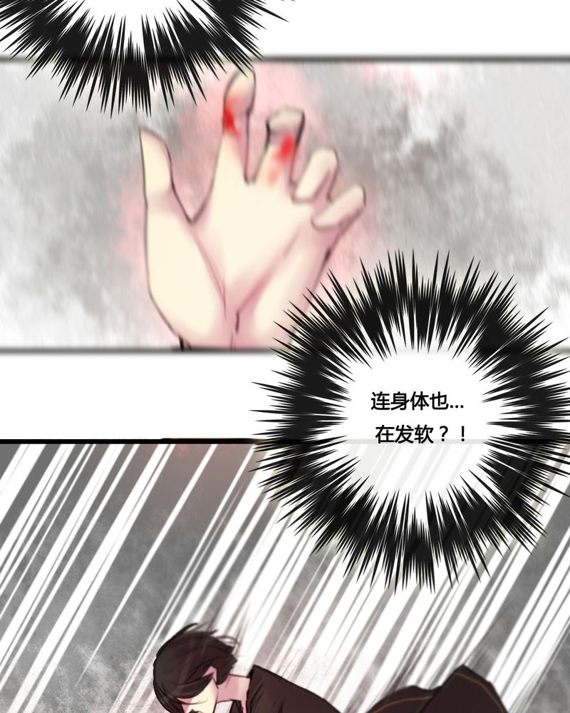 第31章：19