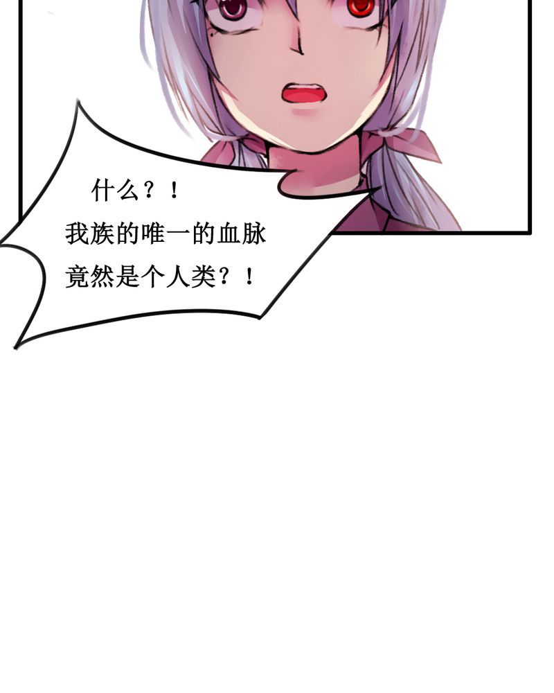 第17章：28