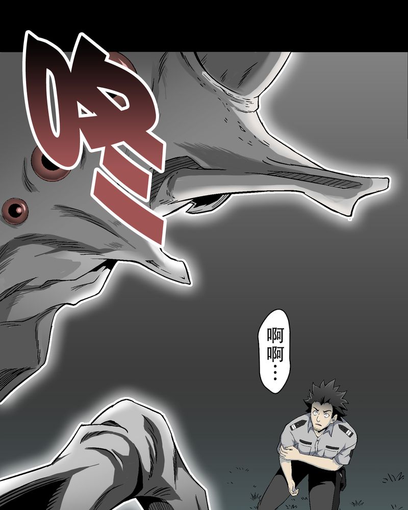 第55章：援军24