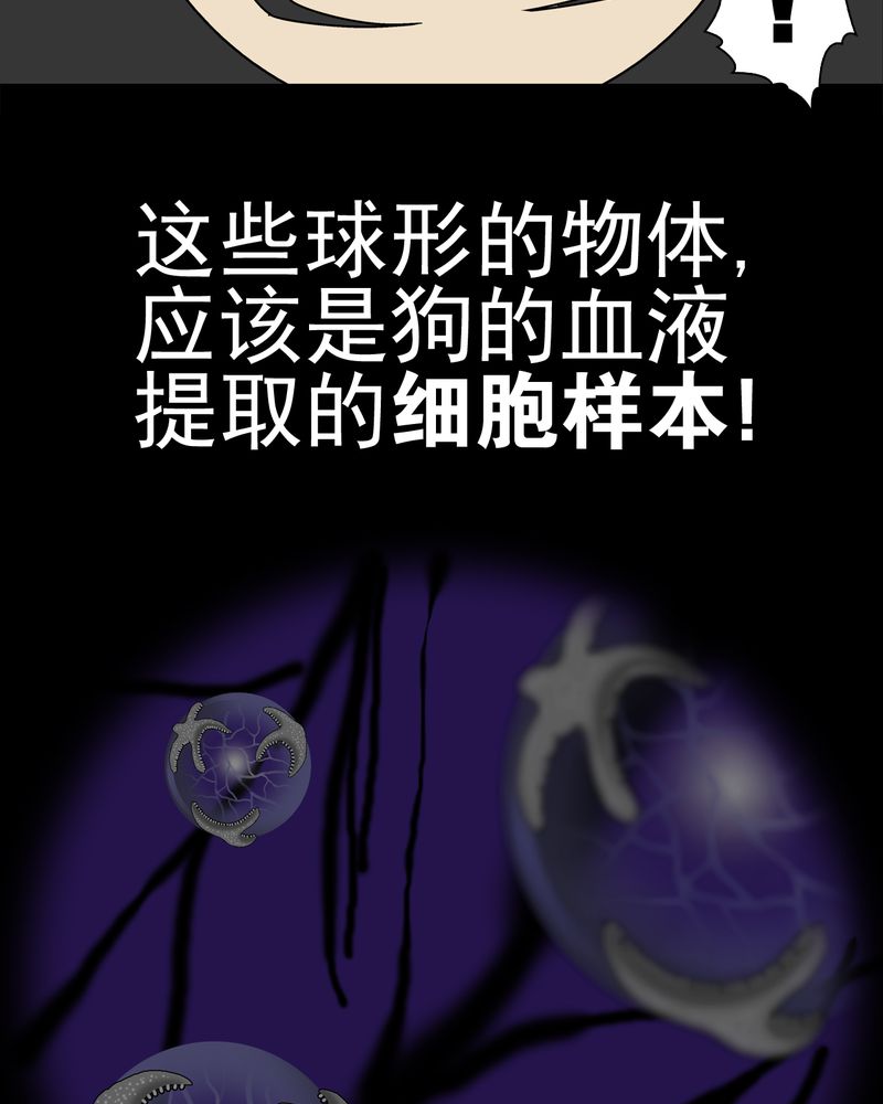 第15章：狗血31