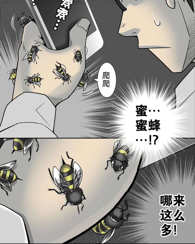 第6章：蜂女完结篇14