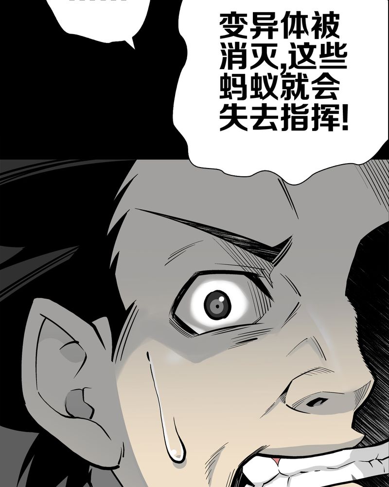 第54章：龙可峰的壮举61