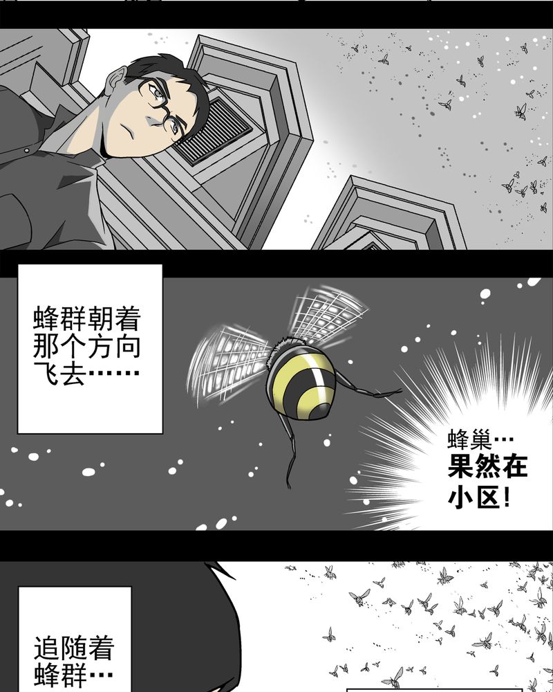第3章：蜂女上5
