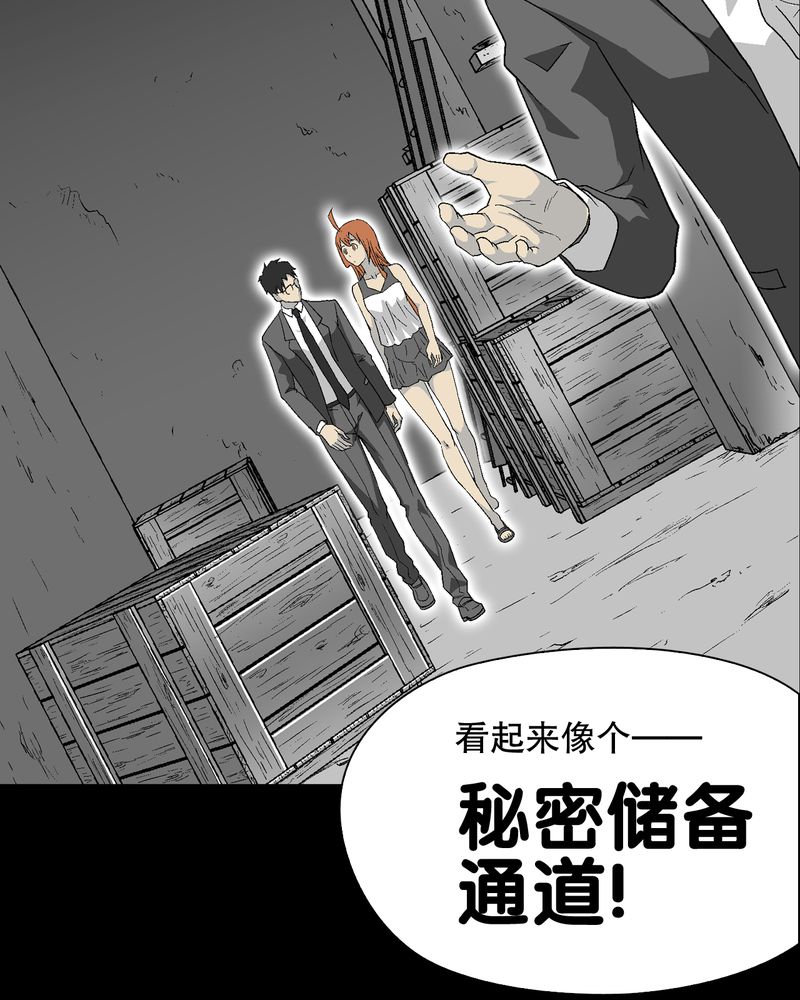 第68章：密道65