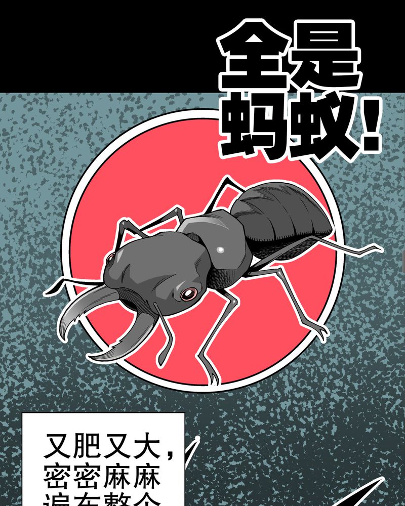 第48章：初识之地35