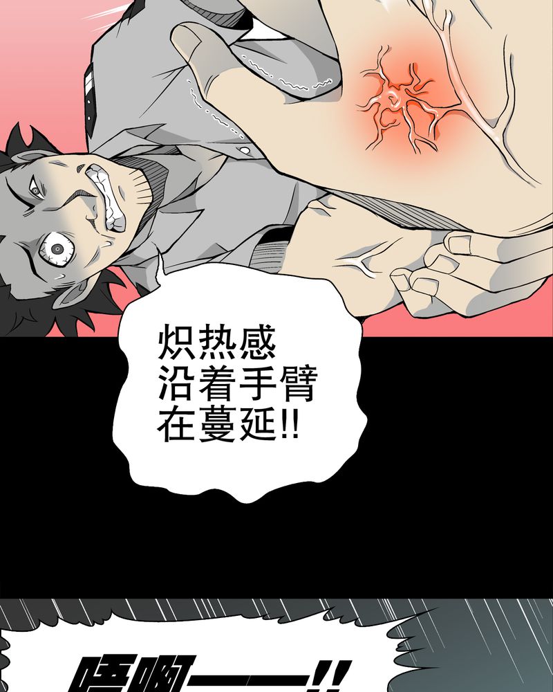 第55章：援军8