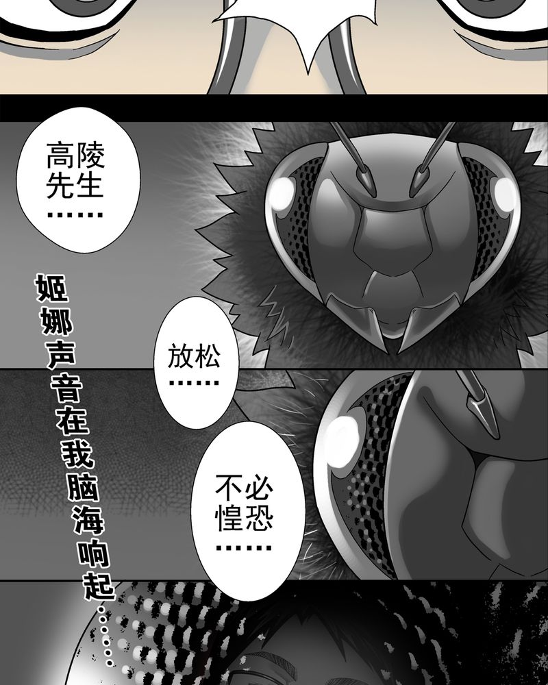 第6章：蜂女完结篇25